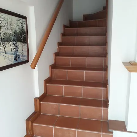 Terezia Vendeghaz 티하니